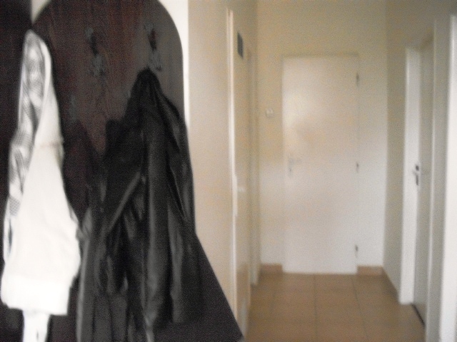 DSCF8511.JPG