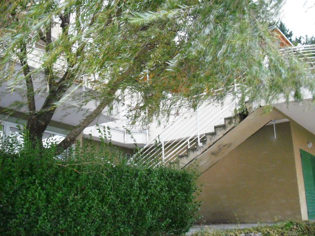 DSCF8526.JPG