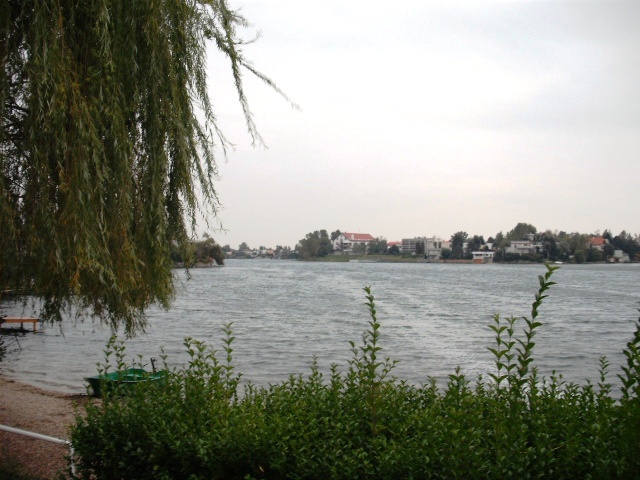 DSCF8529.JPG