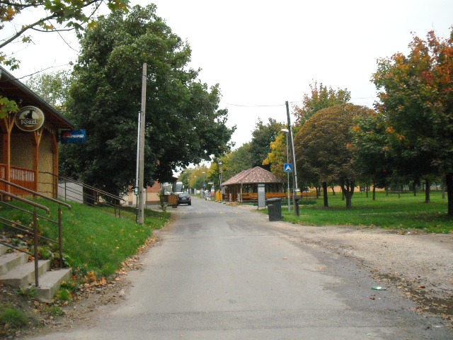 DSCF8537.JPG